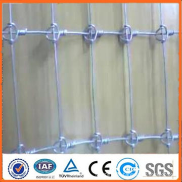 Fixed knot Cattle fence/field fence(manufacturer and exporter)(ISO9001 certification)